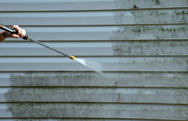 Best Dumpster Area Cleaning  in Koontz Lake, IN